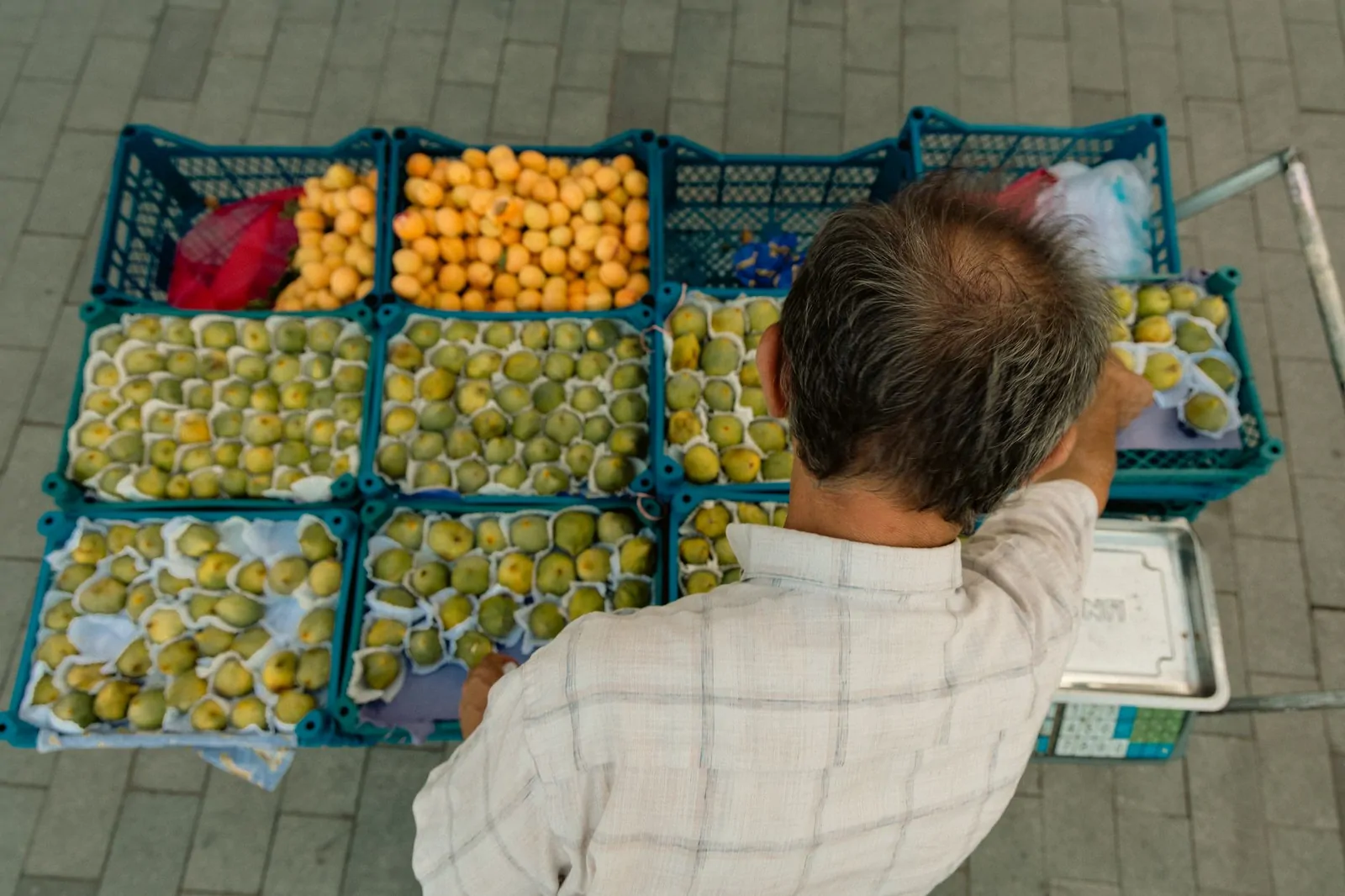 Malatya Kayısıları: Lezzetli ve Sağlıklı Alternatifler