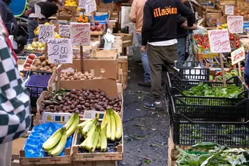 Tunahan Malatya Kayısısı: Eşsiz Lezzeti ve Faydaları